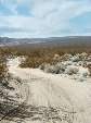 Click to see 8-mojaveroad.jpg
