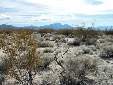 Click to see 9-desert.jpg