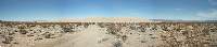 Click to see KelsoDunes.jpg